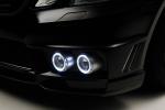 Mercedes-Benz E-Class Black Bison Edition by Wald 2010 года